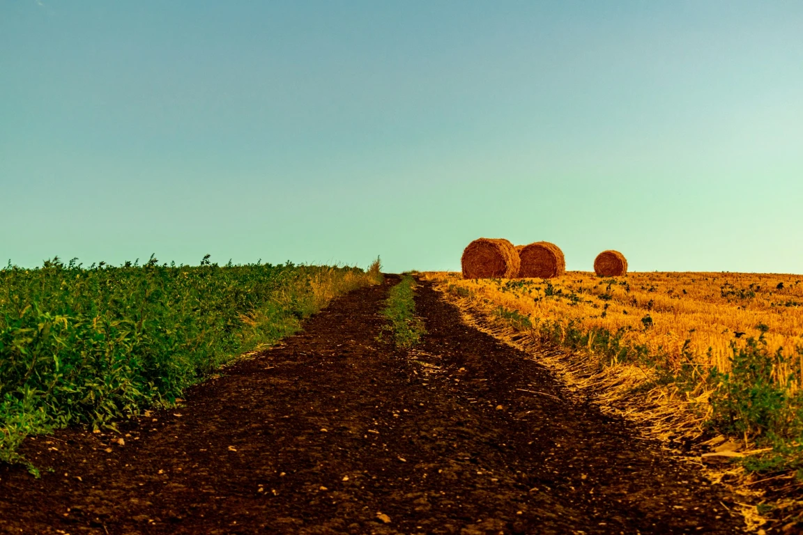 DISOCCUPAZIONE AGRICOLA: ENTRO IL 31/3/2027